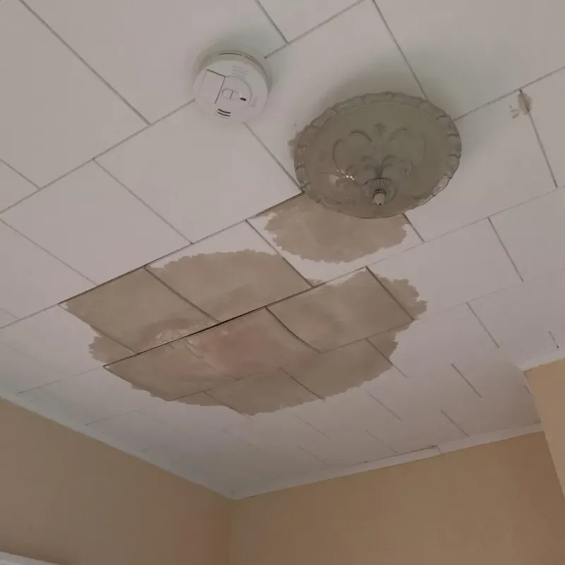 Ceiling Water Damage Repair in Lewistown, IL