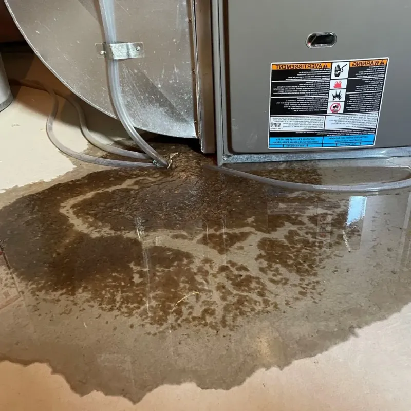 Pipe Burst and Leak Restoration in Lewistown, IL