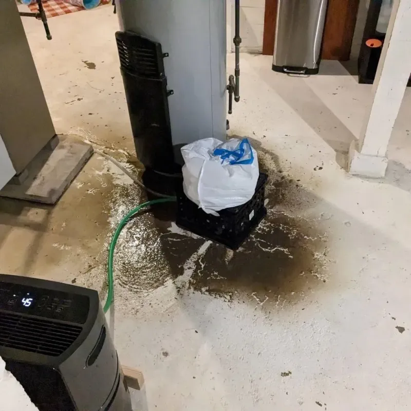 Sewage Backup Cleanup Service in Lewistown, IL